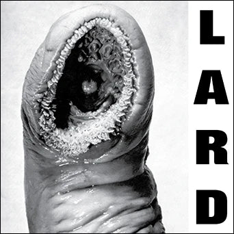 Lard "The Power Of Lard"