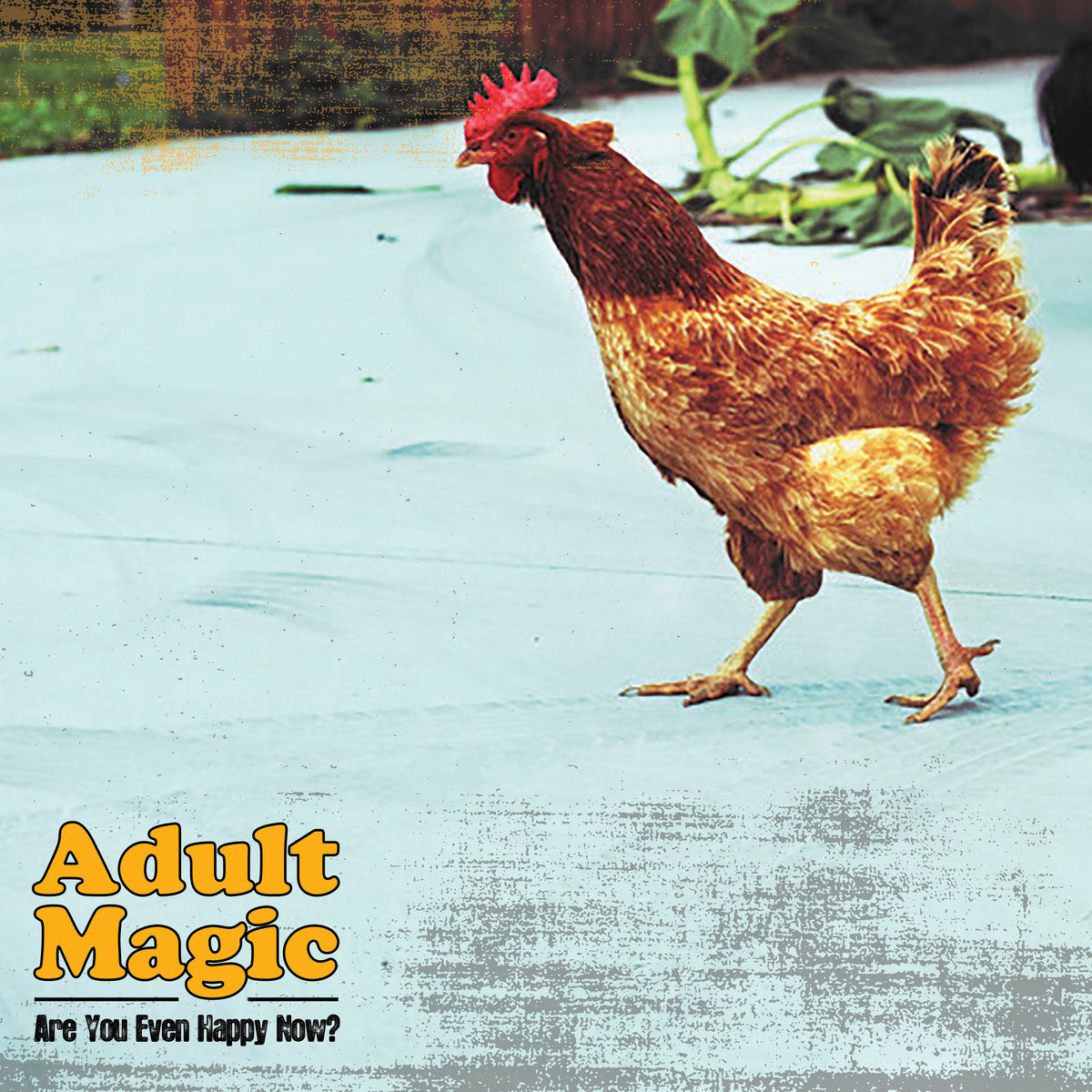 ADULT MAGIC- "Are You Even Happy Now?" LP
