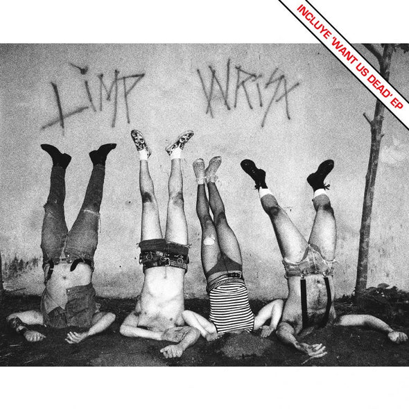 Limp Wrist - Want Us Dead LP