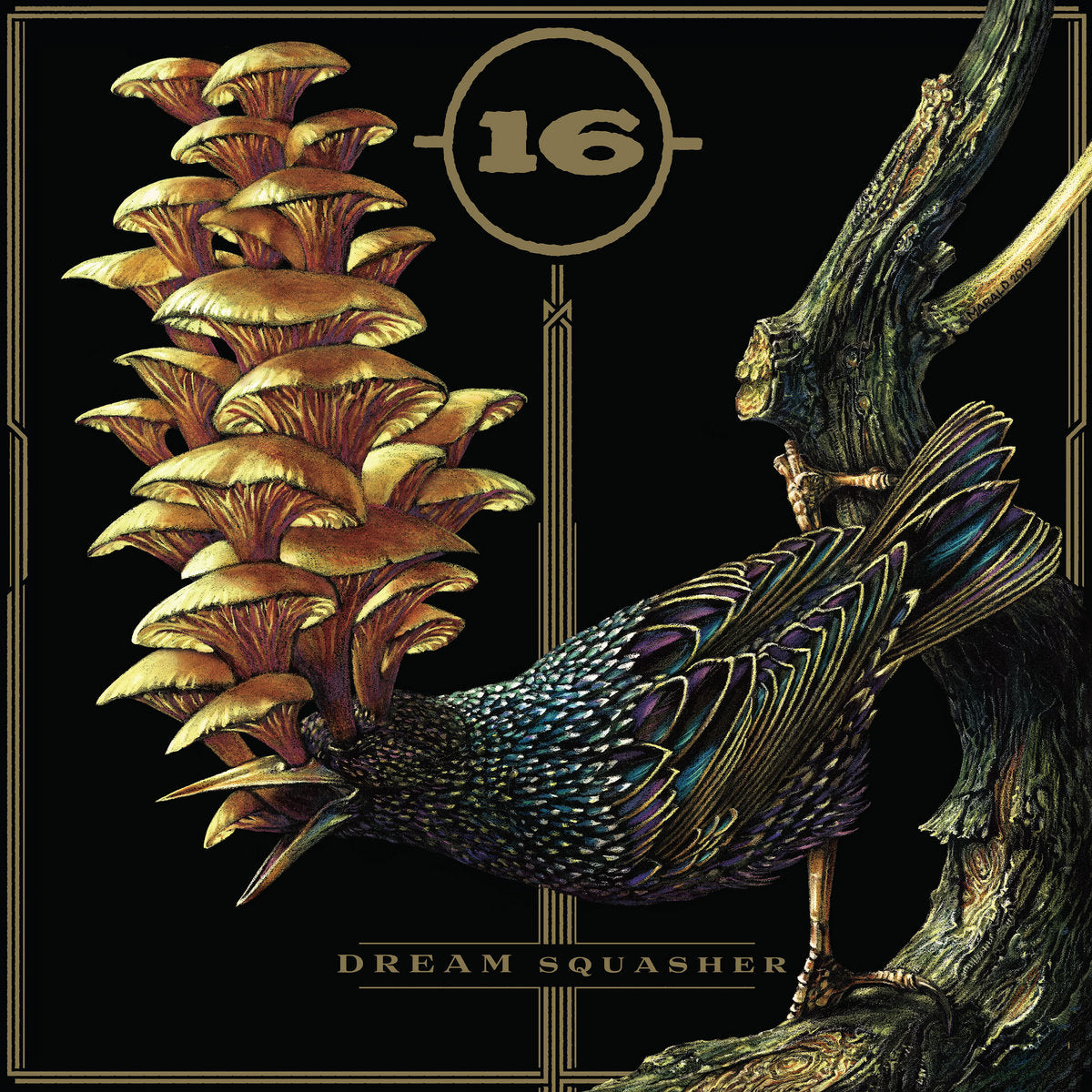 -(16)- Dream Squasher 12"